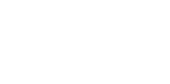 Global Village Connect