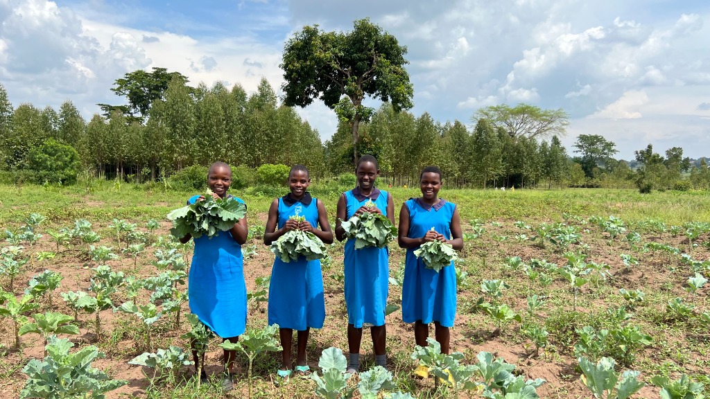 Four Ugandan schoolgirls in blue uniforms smiling in a garden field holding freshly harvested green leafy vegetables