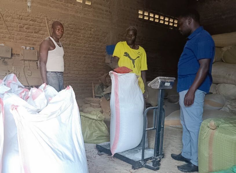 Carefully weighing grain sacks in the brick warehouse to ensure equitable distribution for every family in the community