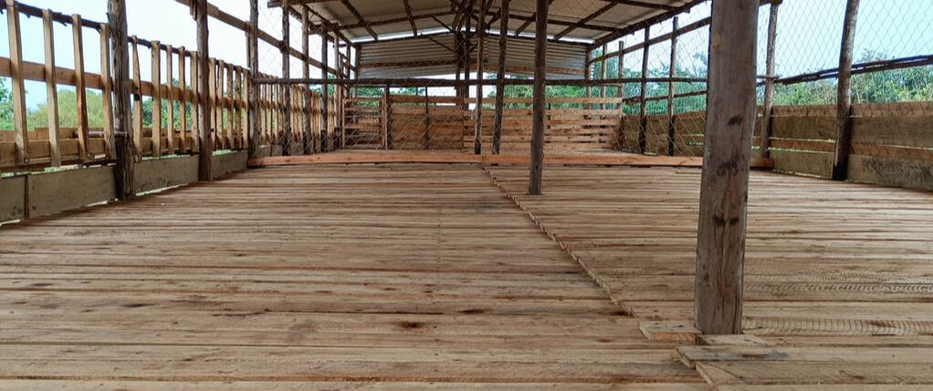 The newly constructed elevated wooden goat facility built collectively by local families in Kwania