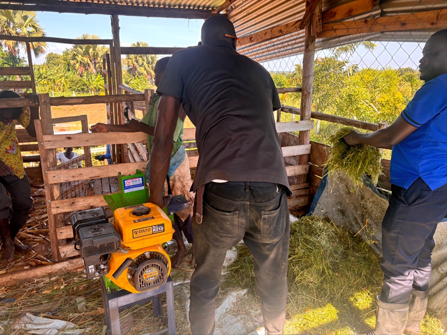 Cooperative members operating the gas-powered feed cutter machine to process napier grass inside the wooden barn facility